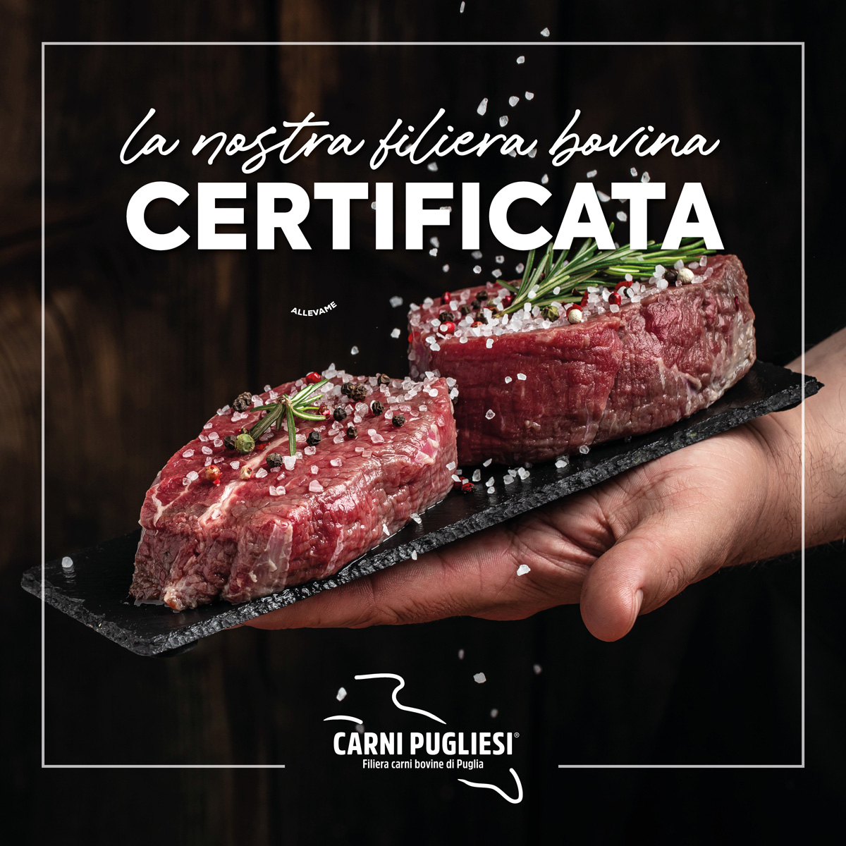 Siciliani SPA – Filiera Bovina certificata