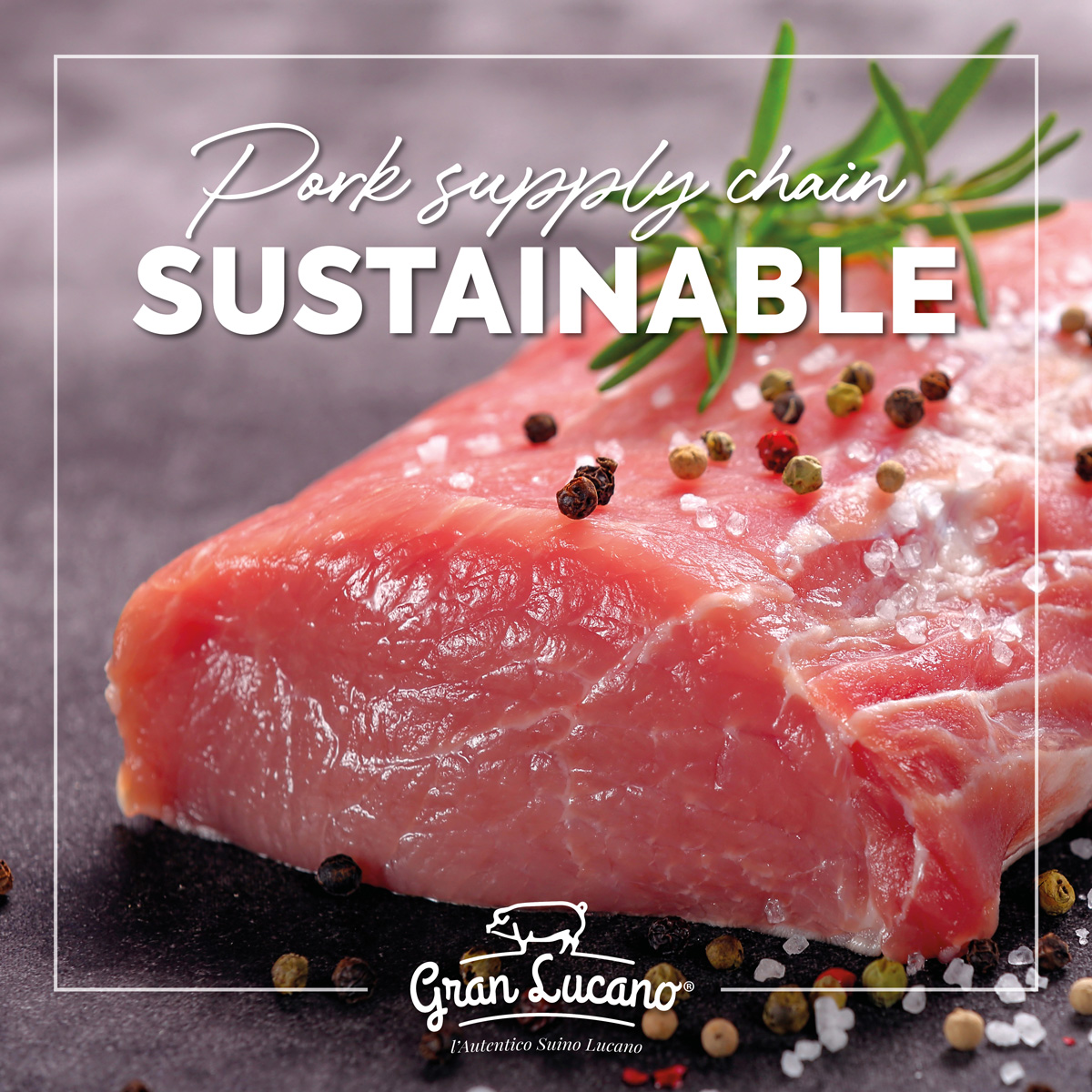 Siciliani SPA Pork supply chain sustainable