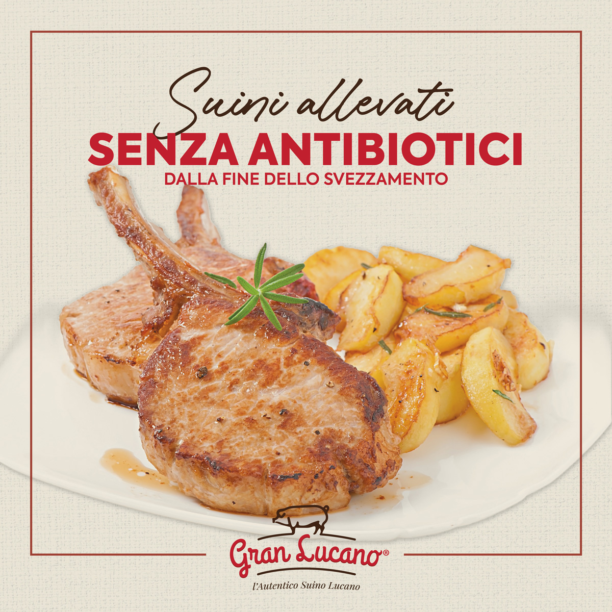 Siciliani SPA – Suini No Antibiotici